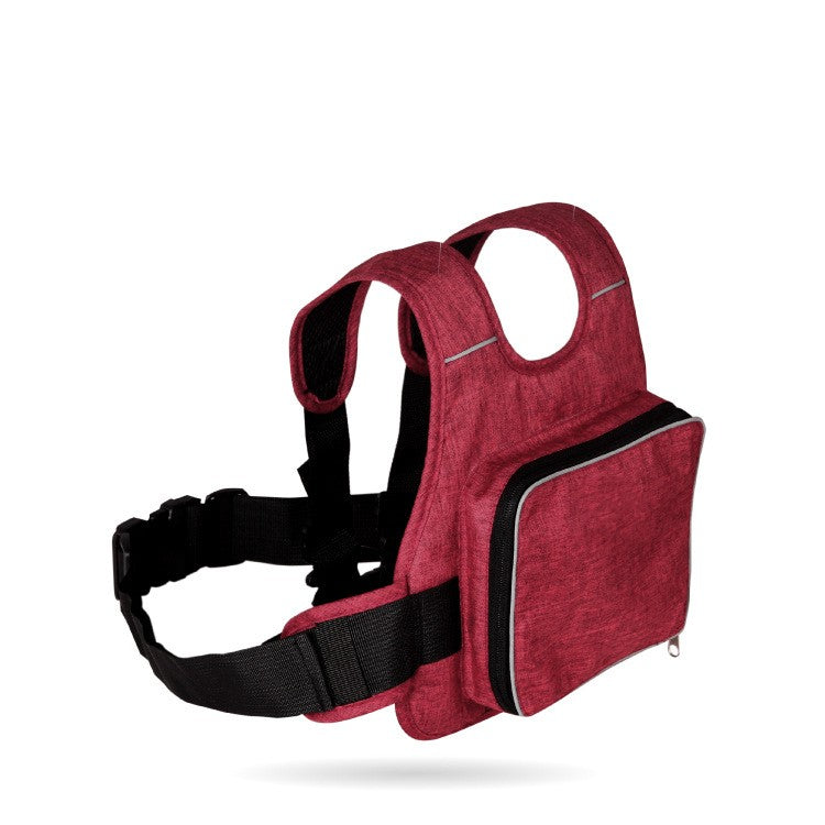 Ceinture de Sécurité pour Enfant pour Moto